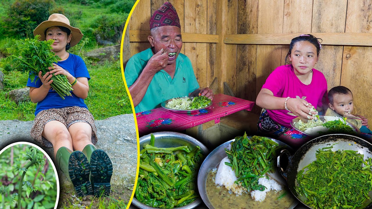 Green Fiddlehead Picking, Cooking & Eating in Village || Nepali #Niguro Recipe || Village life vlog