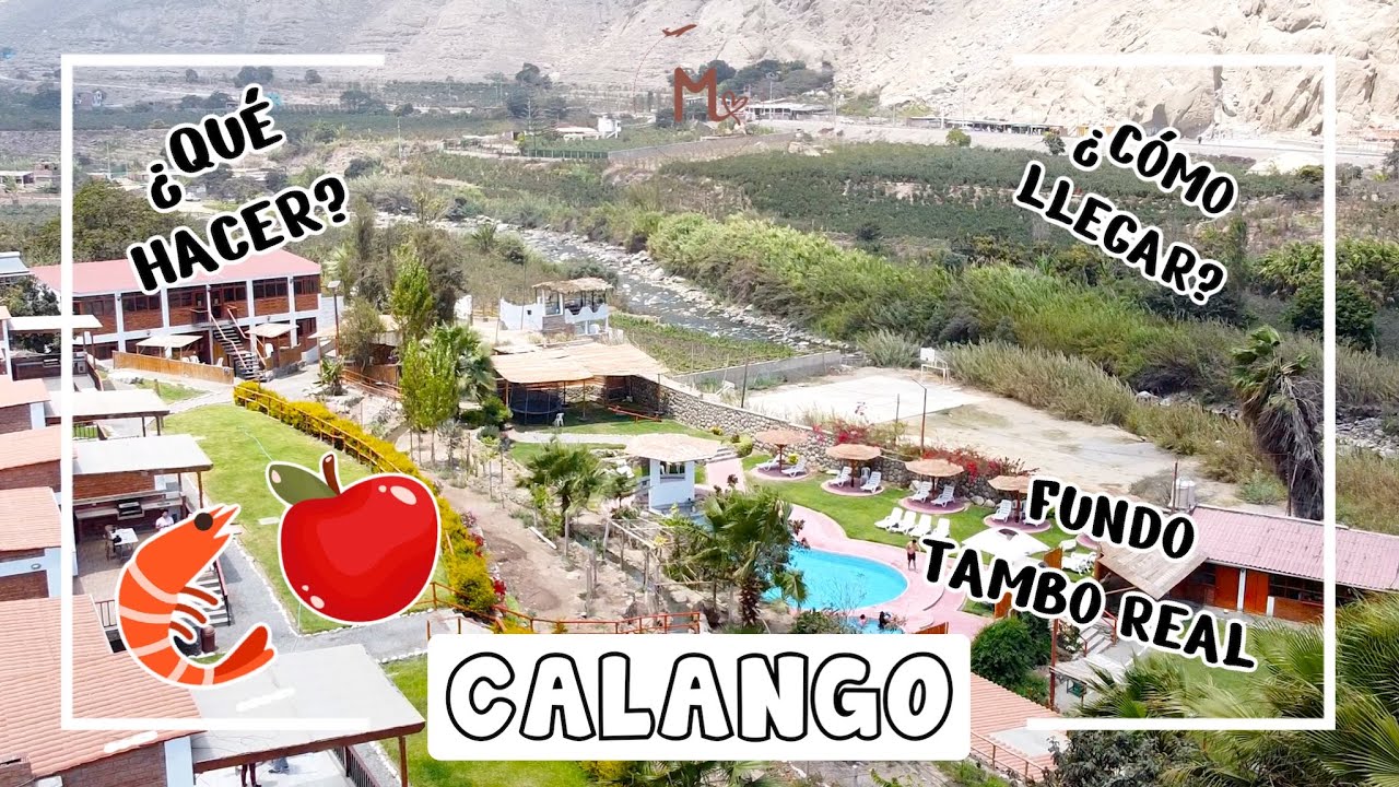 CALANGO - MALA LIMA: MANZANAS, CAMARONES, FUNDO TAMBO REAL & MÁS!