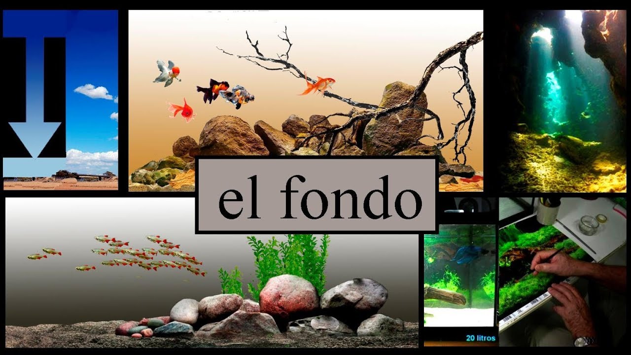 Aquascaping para novatos 4. El fondo