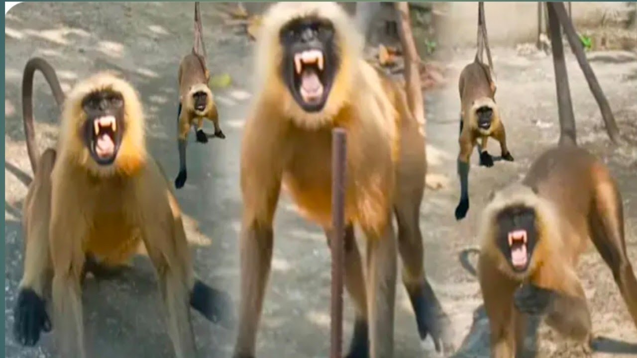 Jo Ajj Sath Hai Wo Kal Nhi Hoga Hanuman Ji