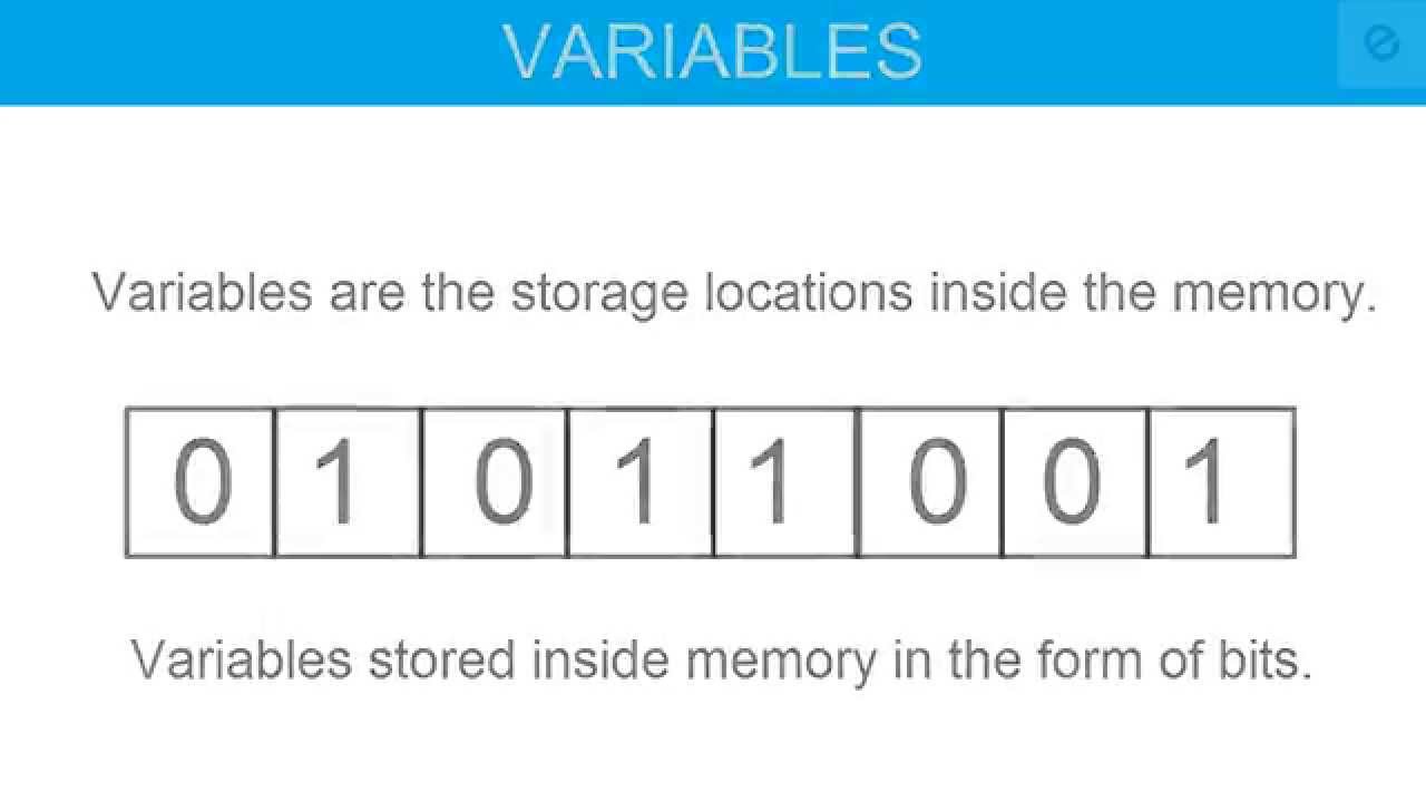 Variable and Data Type in C Programming