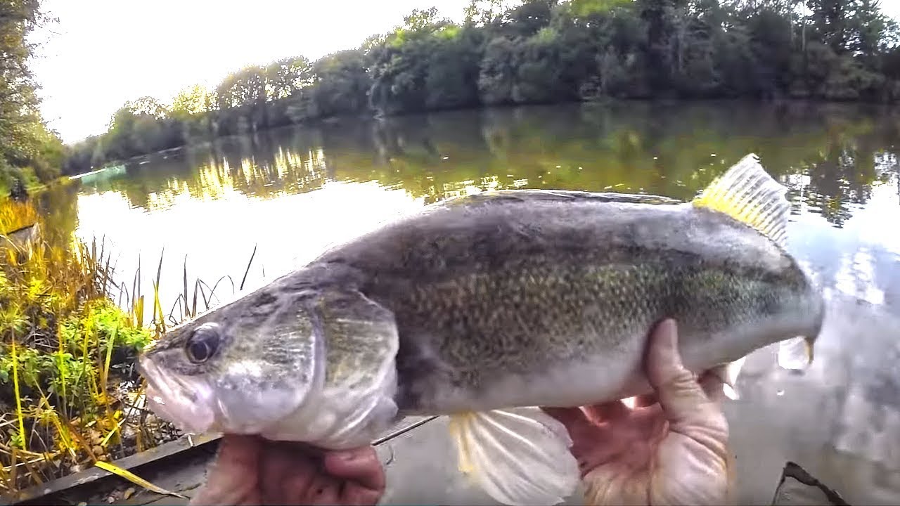 Crazy Overnight Fishing in Ancient English Estate Lake