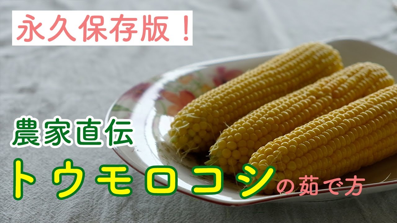 【永久保存版】トウモロコシ農家が教えるトウモロコシの茹で方【vlog暮らし/田舎暮らし】
