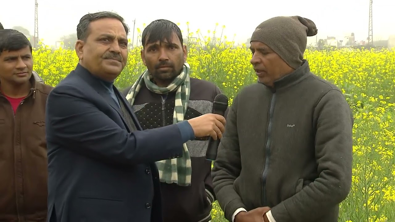 MUSTARD FARMING EP# 03 FROM ICAR-DRMR (Sponsored programme)