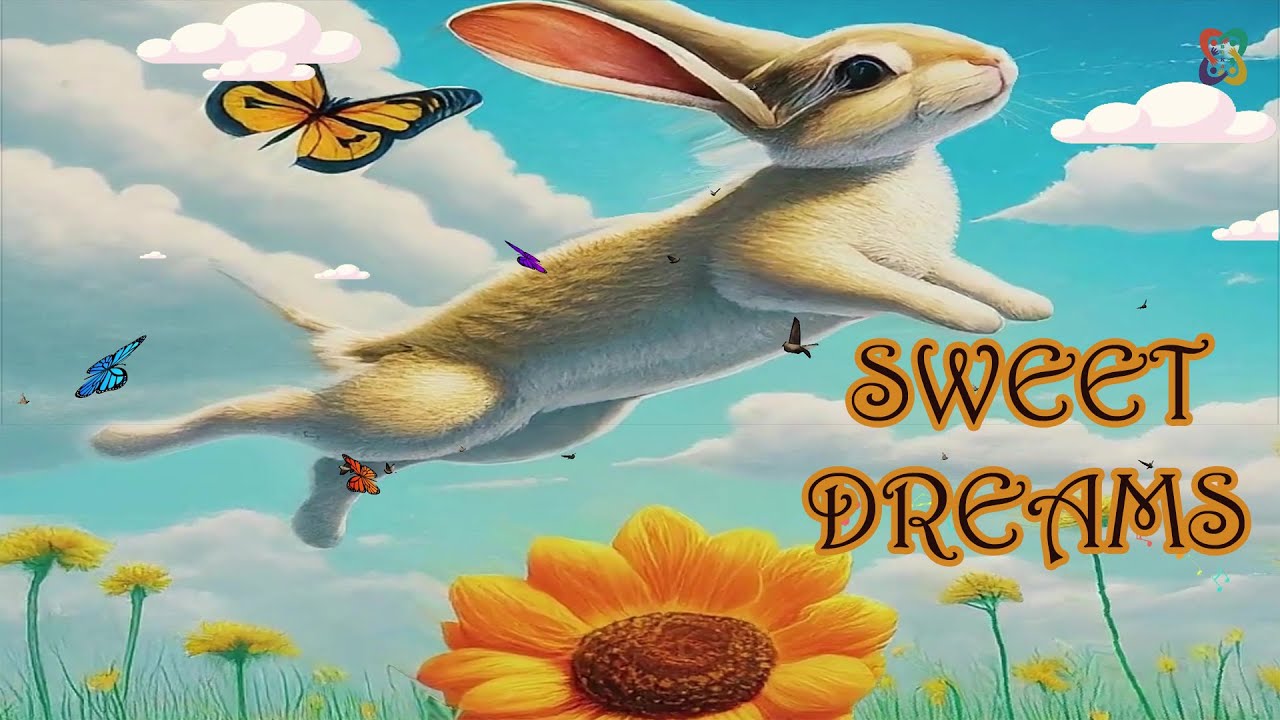 SWEET DREAMS | BİKA BABY & KİDS