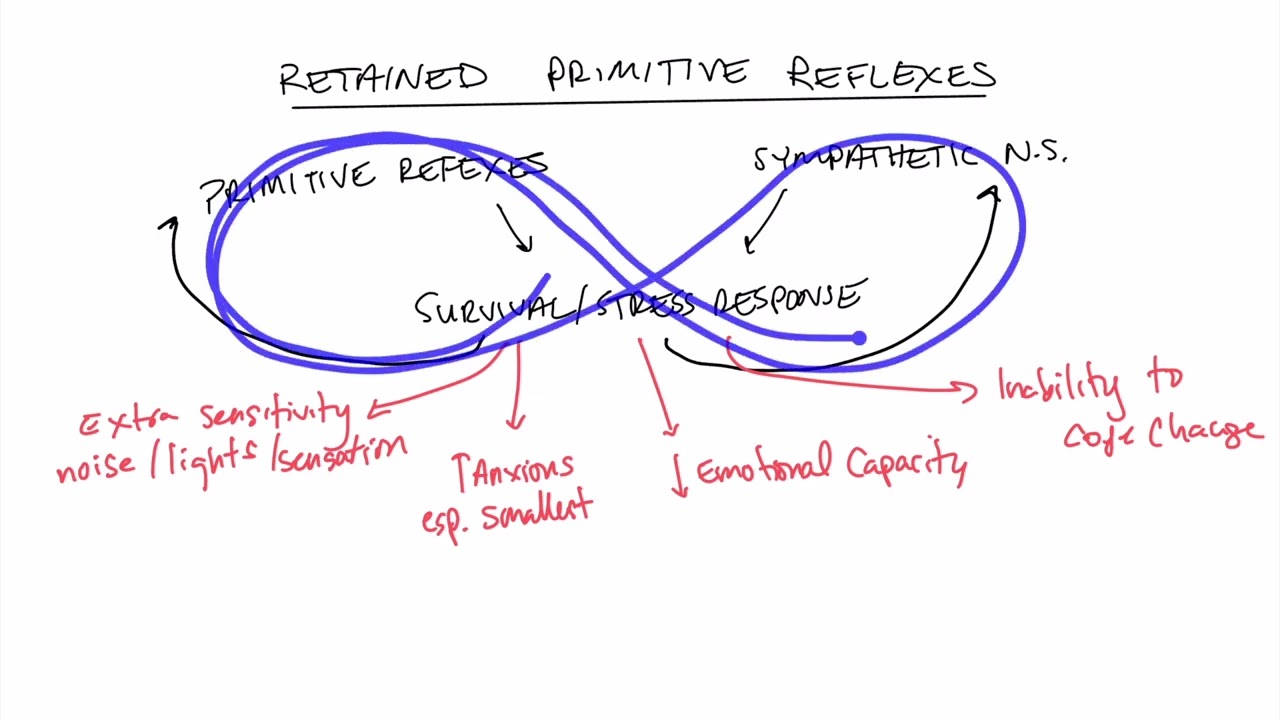 Why Does My Child Have Retained Primitive Reflexes?