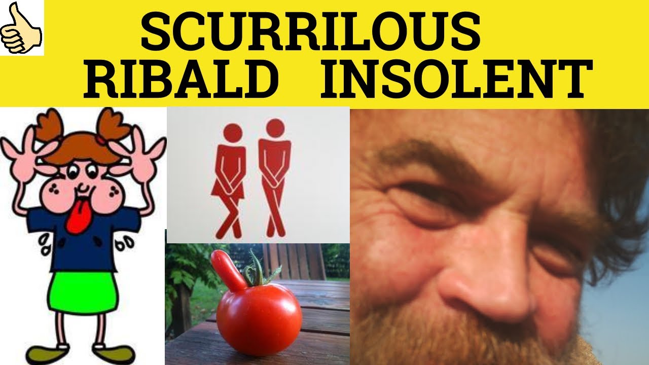 🔵 Insolent Scurrilous Ribald - Insolent Scurrilous Ribald Meaning and Examples