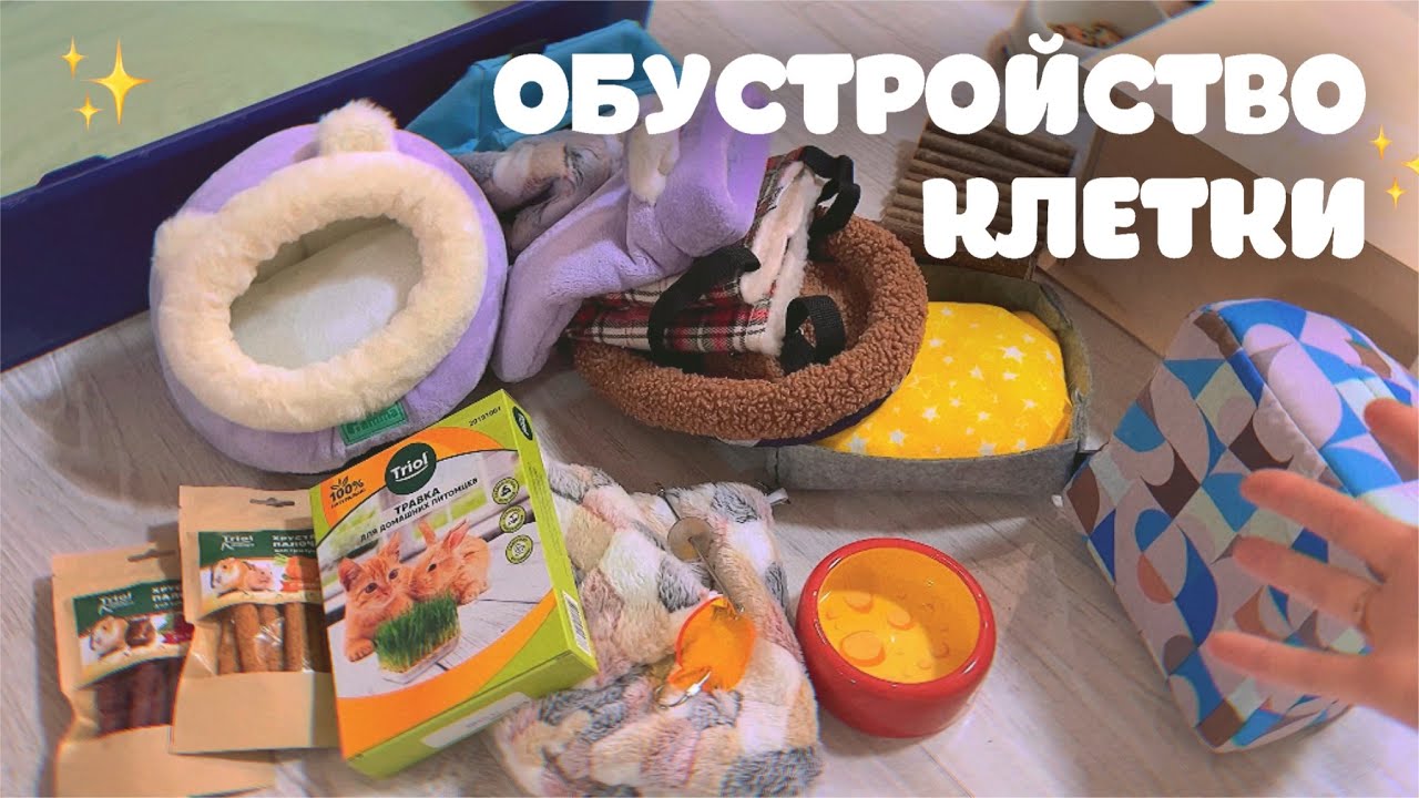 ОБУСТРАИВАЮ КЛЕТКУ НОВЫМИ ВЕЩАМИ ДЛЯ КРЫС☺️ *реакция крыс*