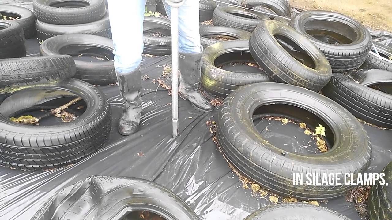 Silage Sampling