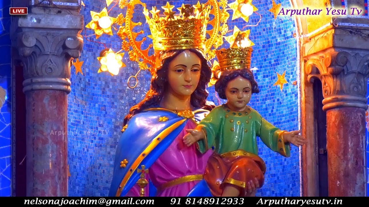 🔴🅻🅸🆅🅴 24th Feb 2026 Special Evening Mass | Sagaya Madha Shrine | St Francis Xavier Church, Broadway