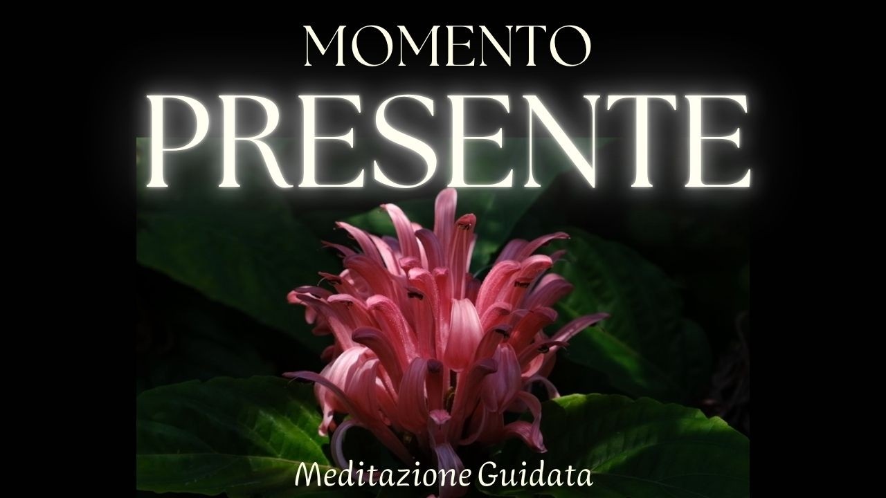 Risiedi nel Momento Presente - Meditazione Guidata