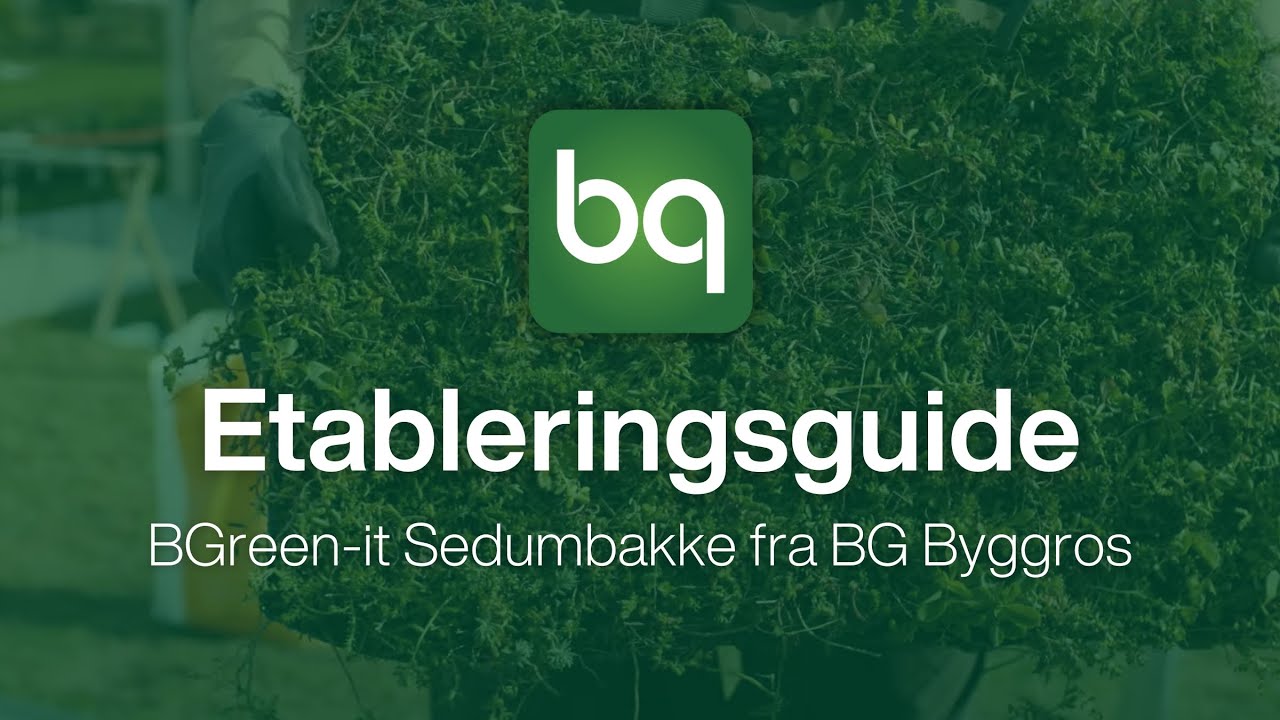 Etableringsguide BGreen-it Sedumbakke fra Byggros