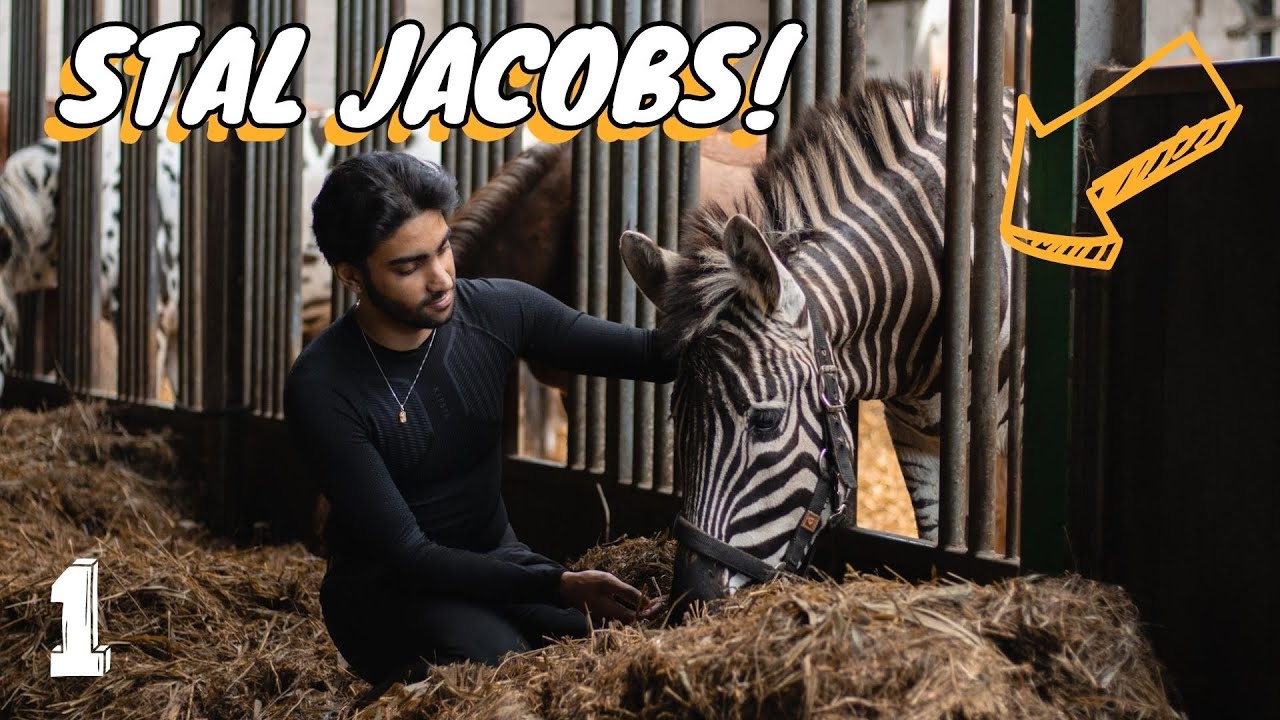 VOOR HET EERST OP PONYKAMP! (voor volwassenen) | KAMPVLOG #01