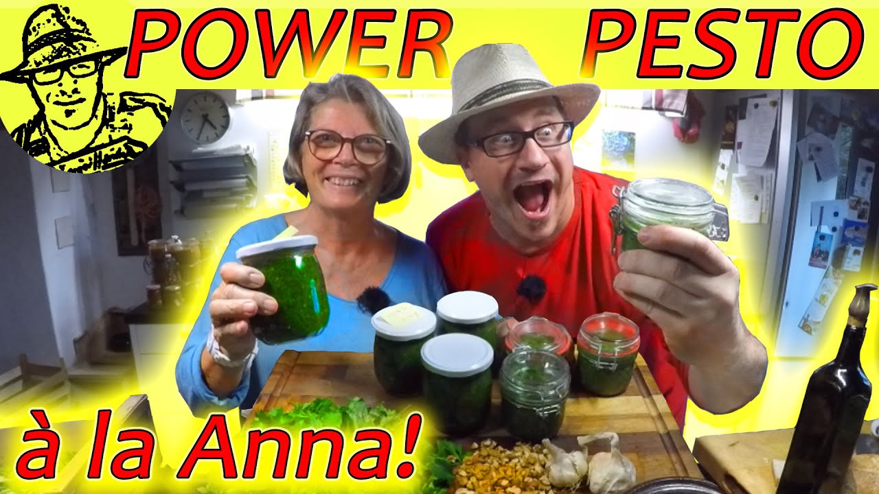 Das beste Pesto der Welt - große Mengen Petersilie schnell und einfach verarbeiten.