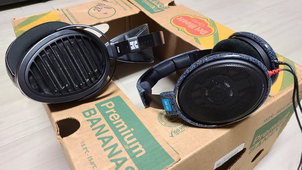 Сравнение HiFiMAN Arya и Sennheiser HD600