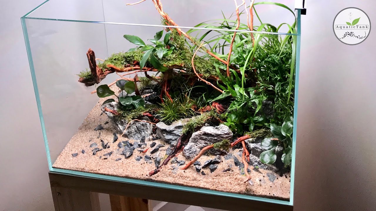 Planted Tank Tutorial | Tips & Tricks for Aquarium Setup (50 cm Crystal Clear Tank)
