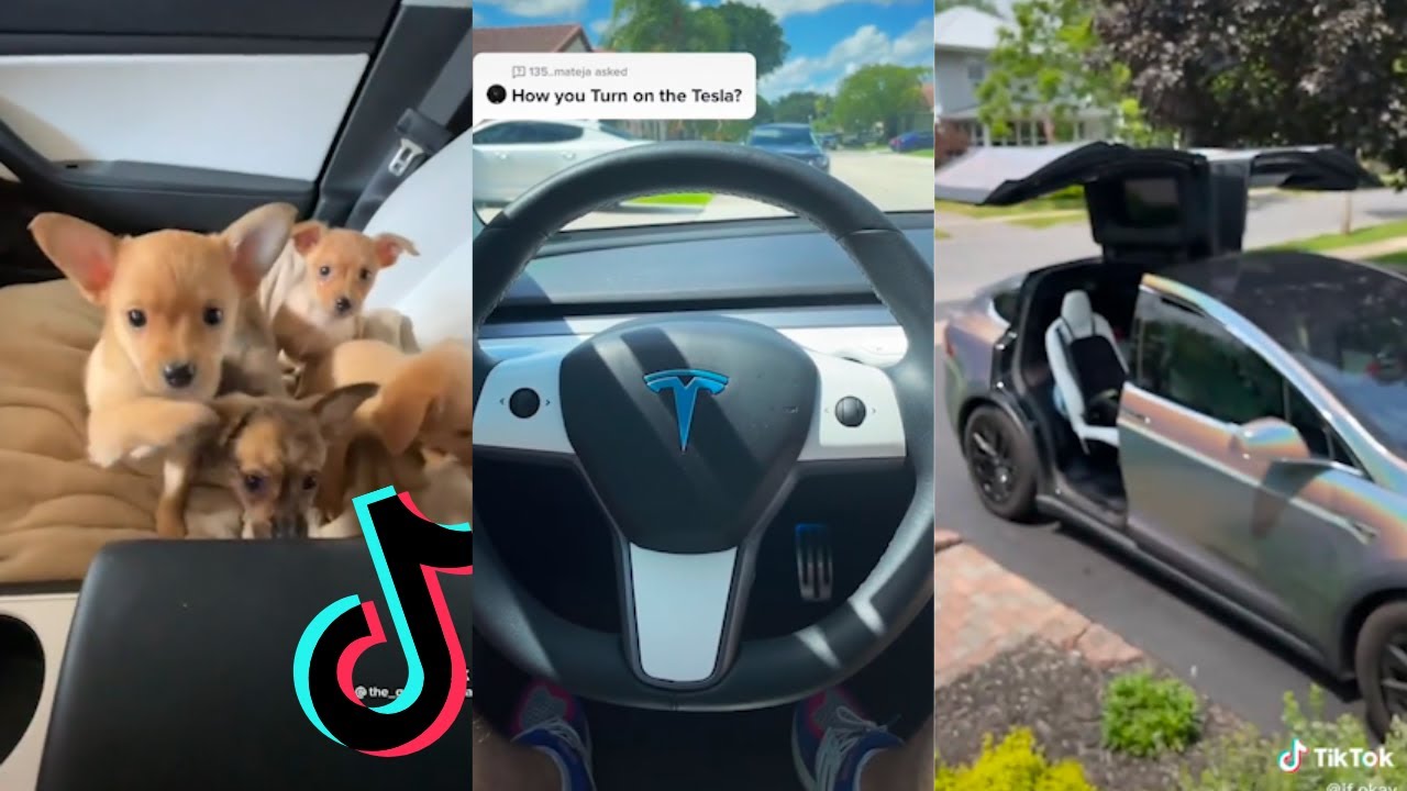 Tesla tiktok compilation  #3