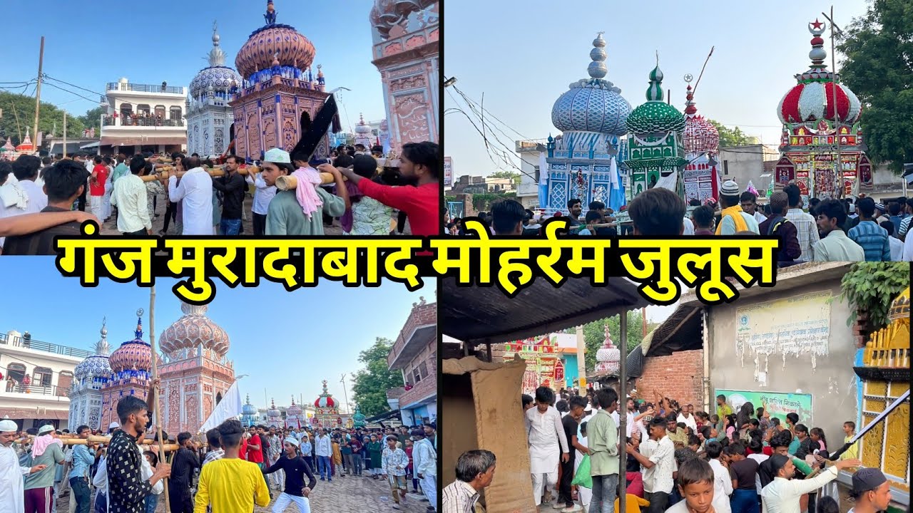 गंज मुरादाबाद मोहर्रम ताजिया 2025 video | Unnao Ganj Muradabad Muharram tajiya video | Muharram vlog