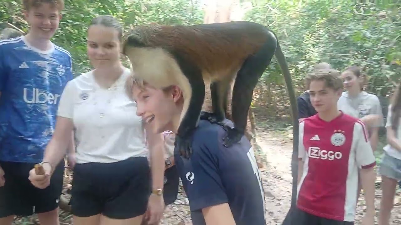 Tafi Atome Monkey Sanctuary And Cultural Village 