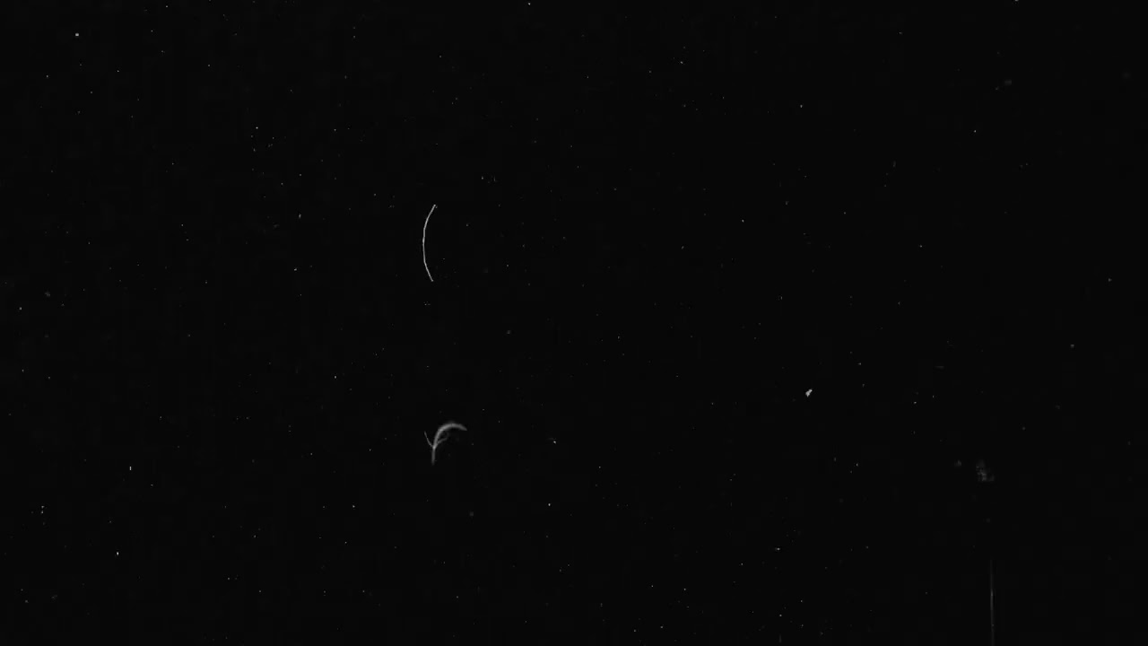 Overhead Black Background with Scratches and Noisy Dust for 16/35mm