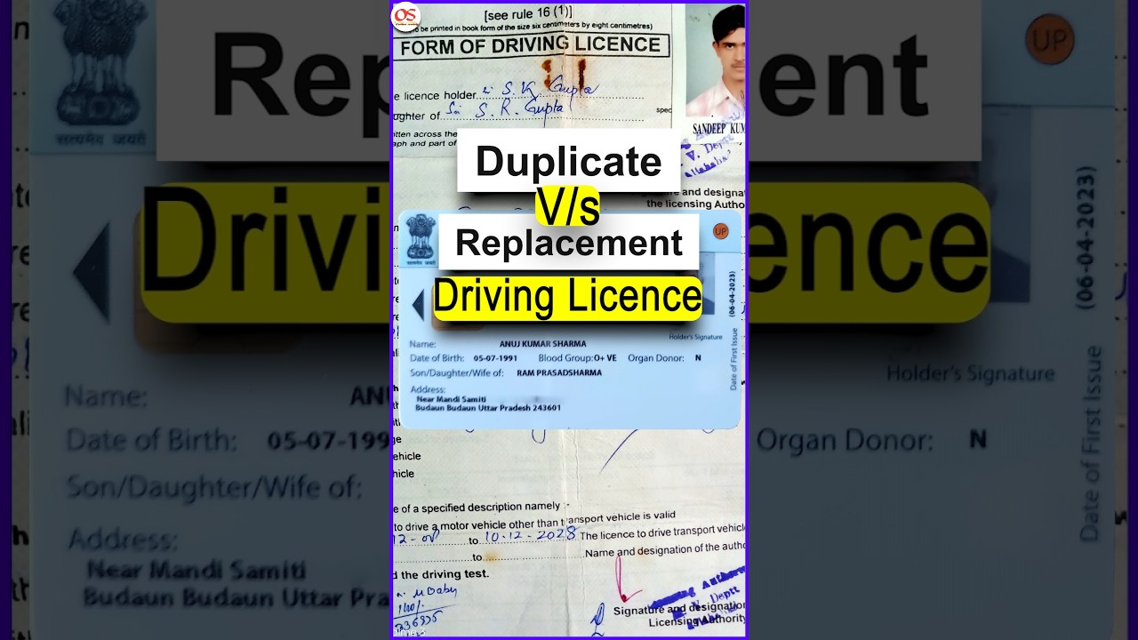 Replacement vs Duplicate Driving Licence #onlinesociety