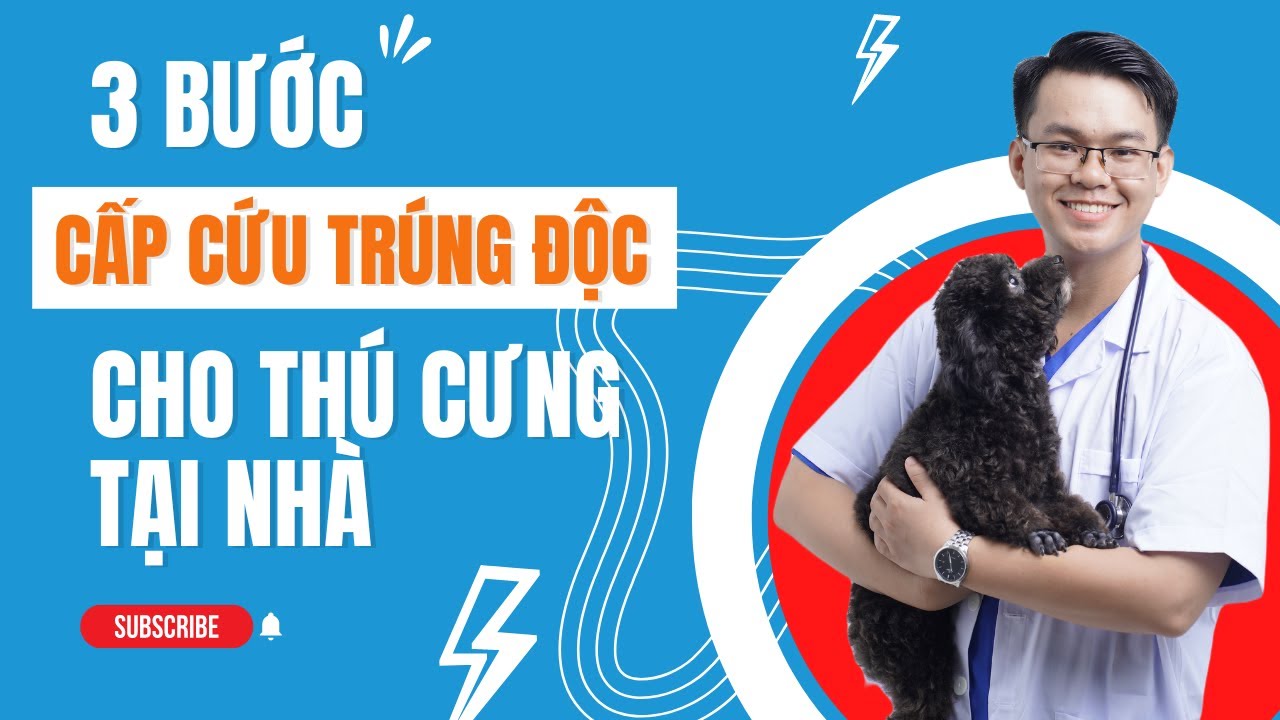 3 bước cấp cứu CHÓ MÈO TRÚNG ĐỘC tại nhà theo bí quyết Bác sĩ Lynn Holva -Giám đốc viện thú y Hòa Kỳ