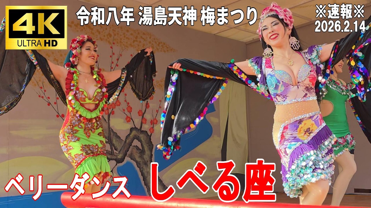 【4K Japan】※速報※ 2026.2.14  湯島天神 梅まつり 奉納演芸『ベリーダンス しべる座』#湯島天神 #梅まつり #ベリーダンス