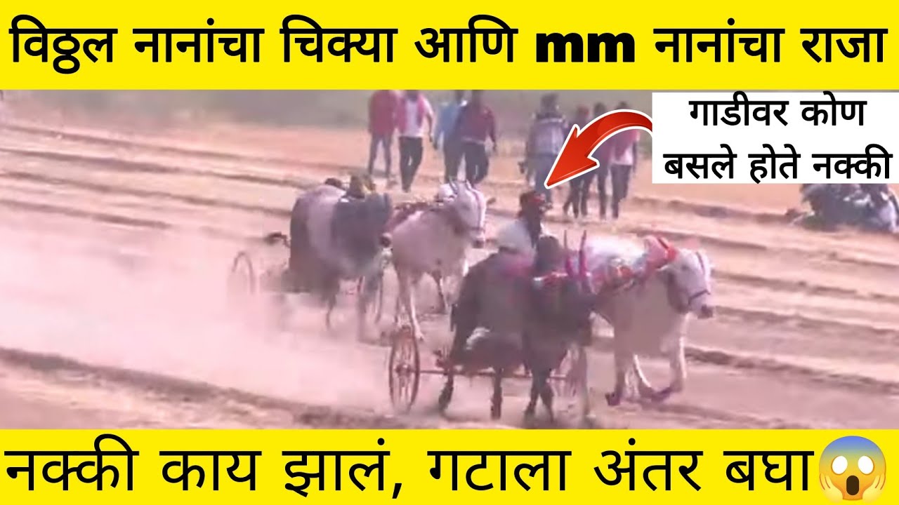 विठ्ठल नानांचा चिक्या आणि mm नानांचा राजा गट पास झाले का, गटाला अंतर बघा 😱