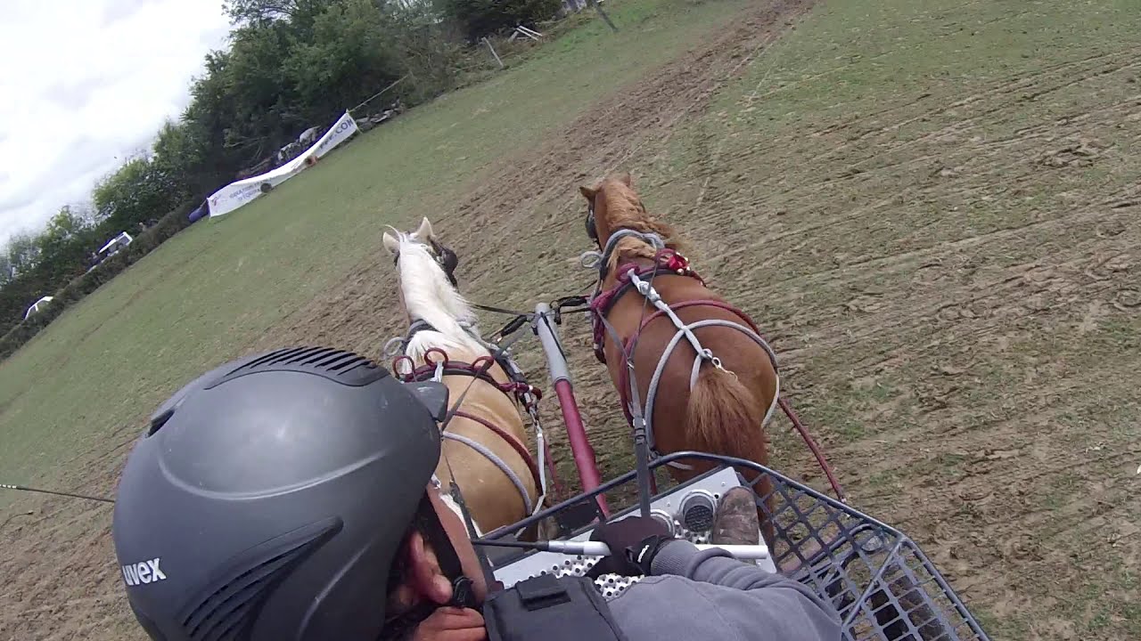 PTV championnat de France TREC en Attelage