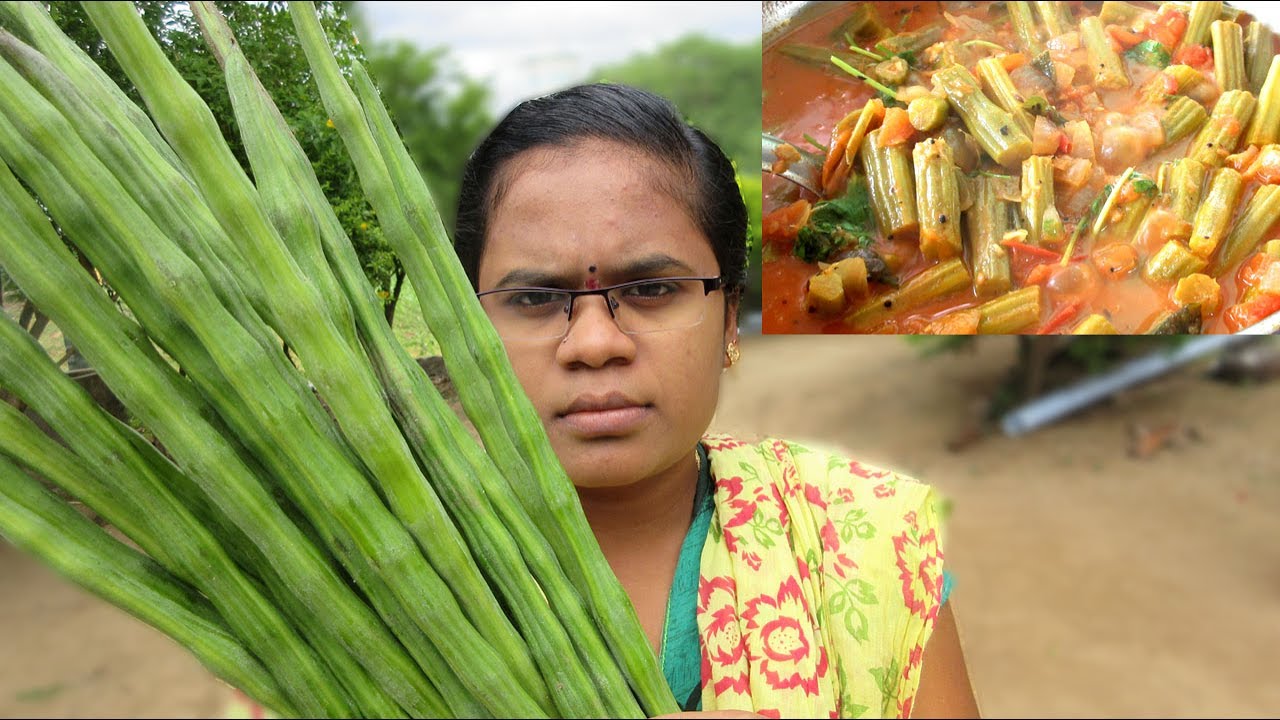 Cooking Drumstick Recipe in My Village | Tasty Drumstick Curry | VILLAGE FOOD