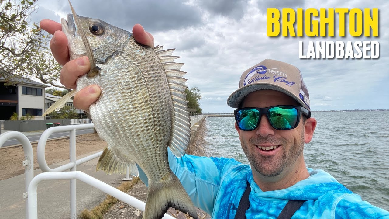 Land Based Fishing | Brighton & Sandgate Foreshore
