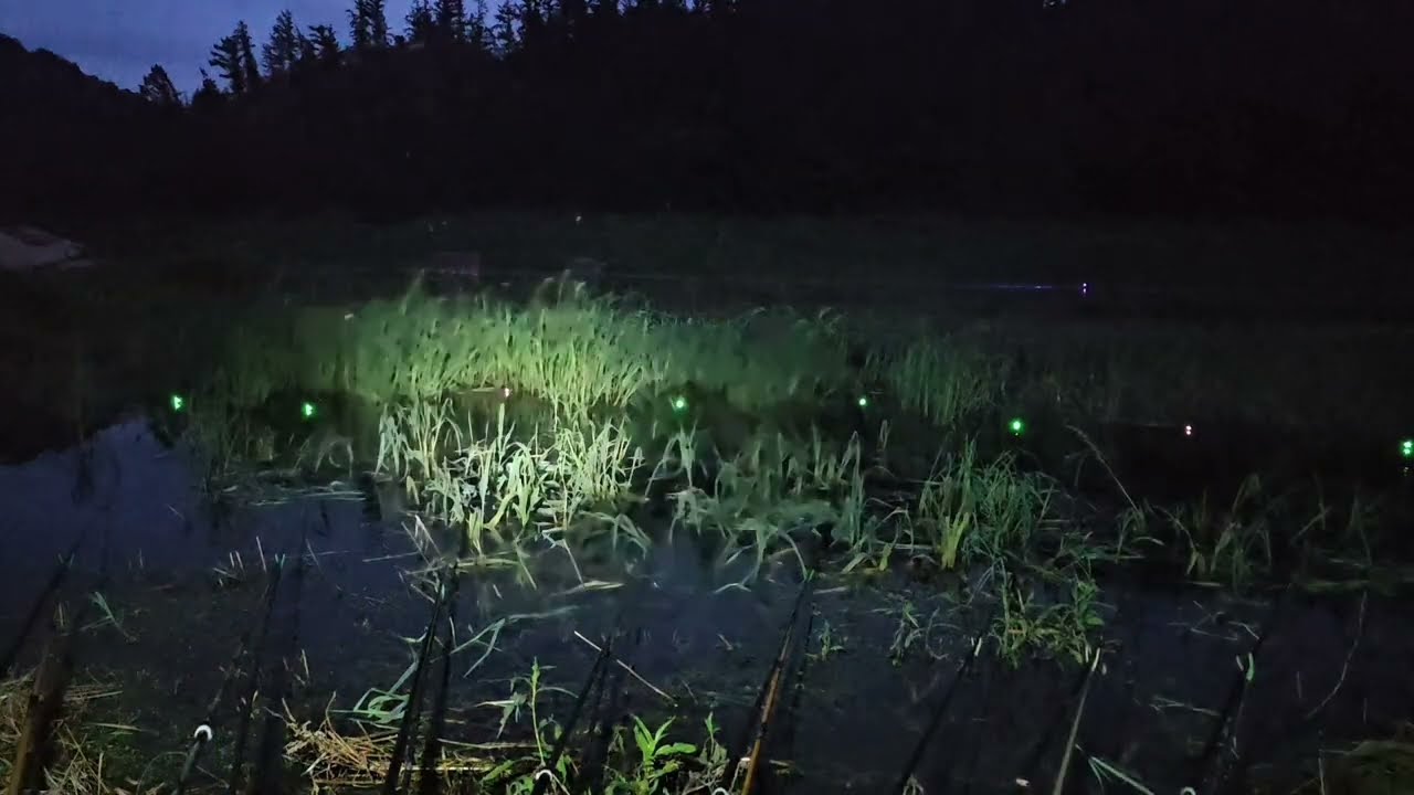 합천댐 낚시 내림 수위 낚시#25-20화