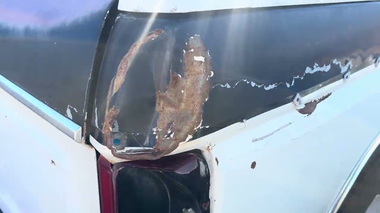 1983 Ford Bronco junkyard find