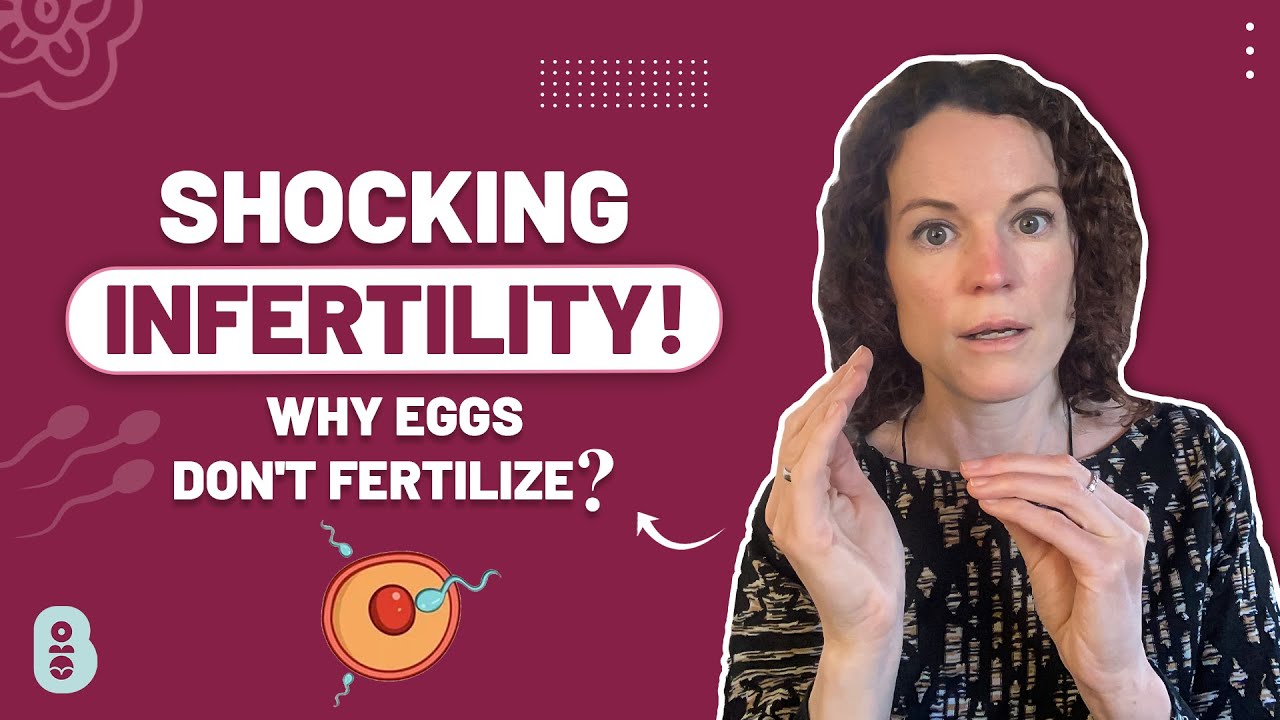 Shocking Infertility Truth: Why eggs don't fertilize