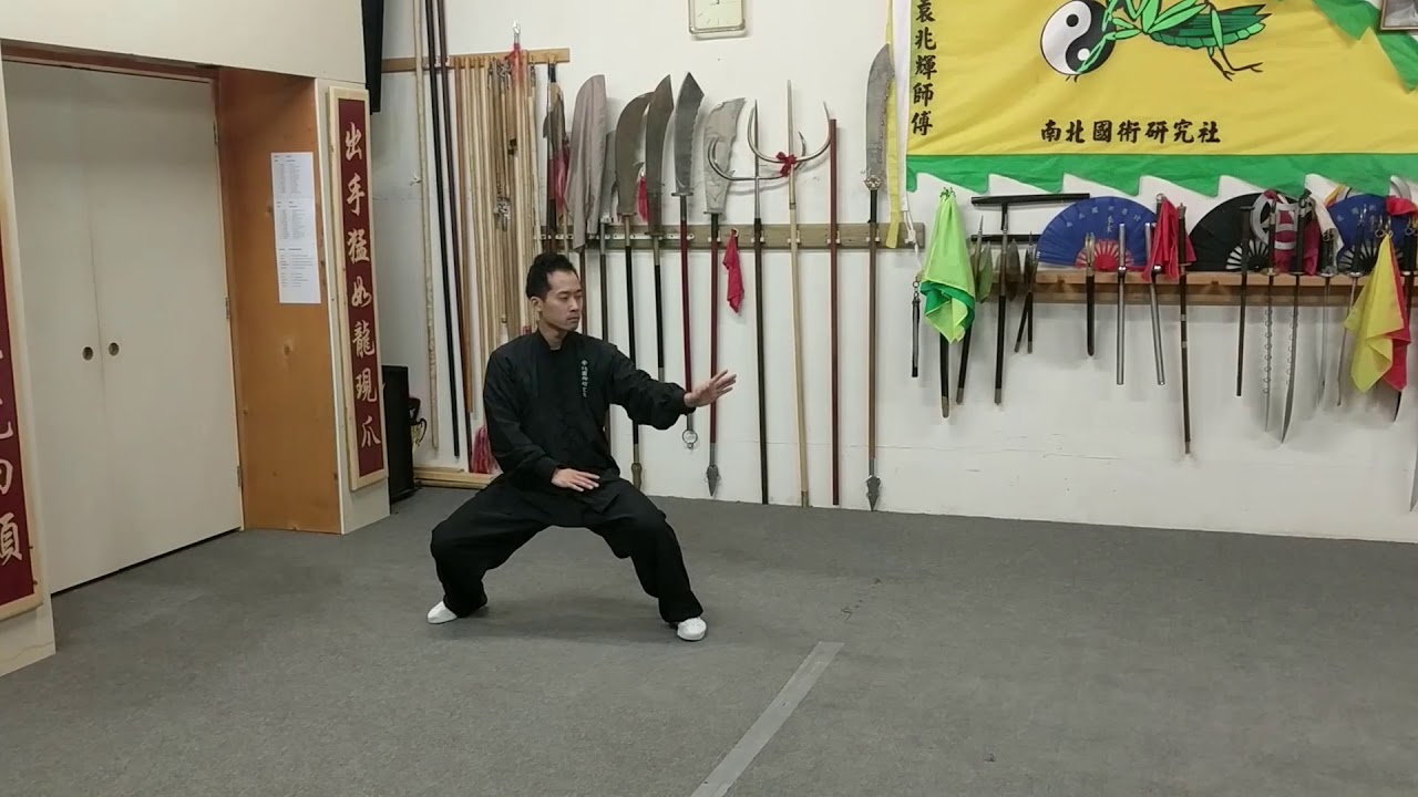 逍遙掌 Wu Dang Siu Yiu Palm