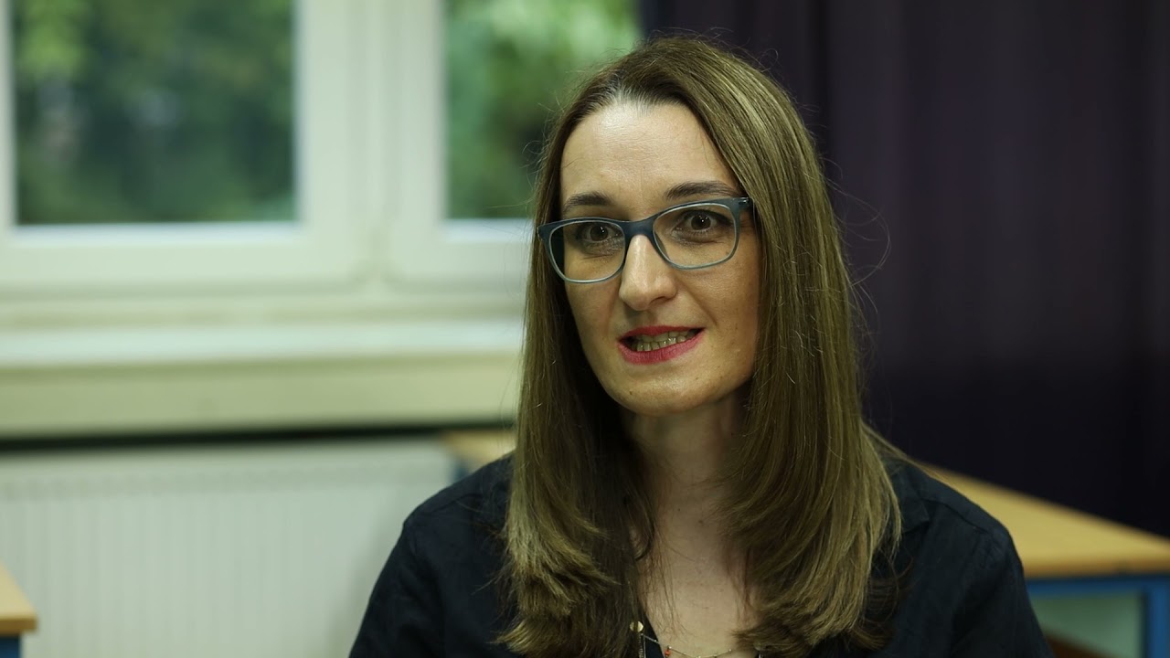 Postupanje u školama u slučajevima vršnjačkog i rodno uvjetovanog nasilja