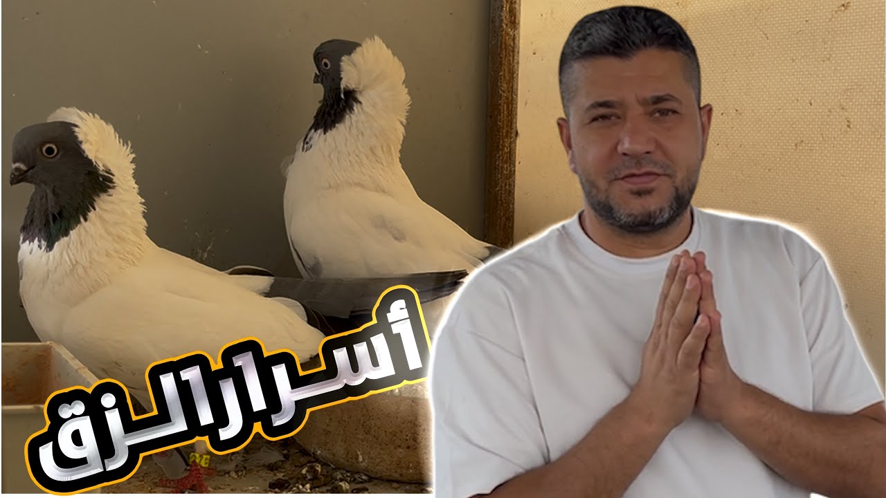 لفة على الزقوال فراخ وأحلى أجواء 🤩