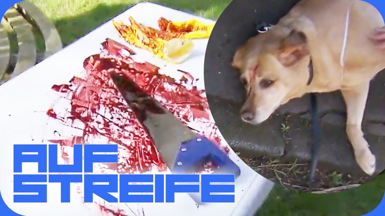 Messerattacke auf Hund! Steckt der Hundehasser-Nachbar dahinter? | Auf Streife | SAT.1