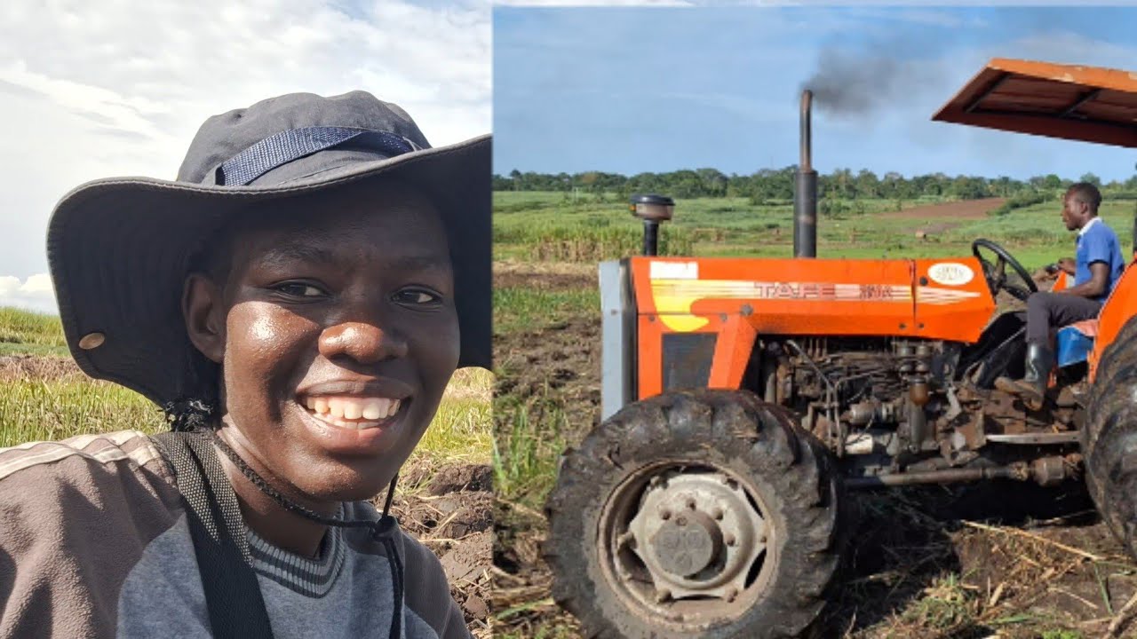 A  Day on My Farm | Tractor Ploughing & Real Farm Life