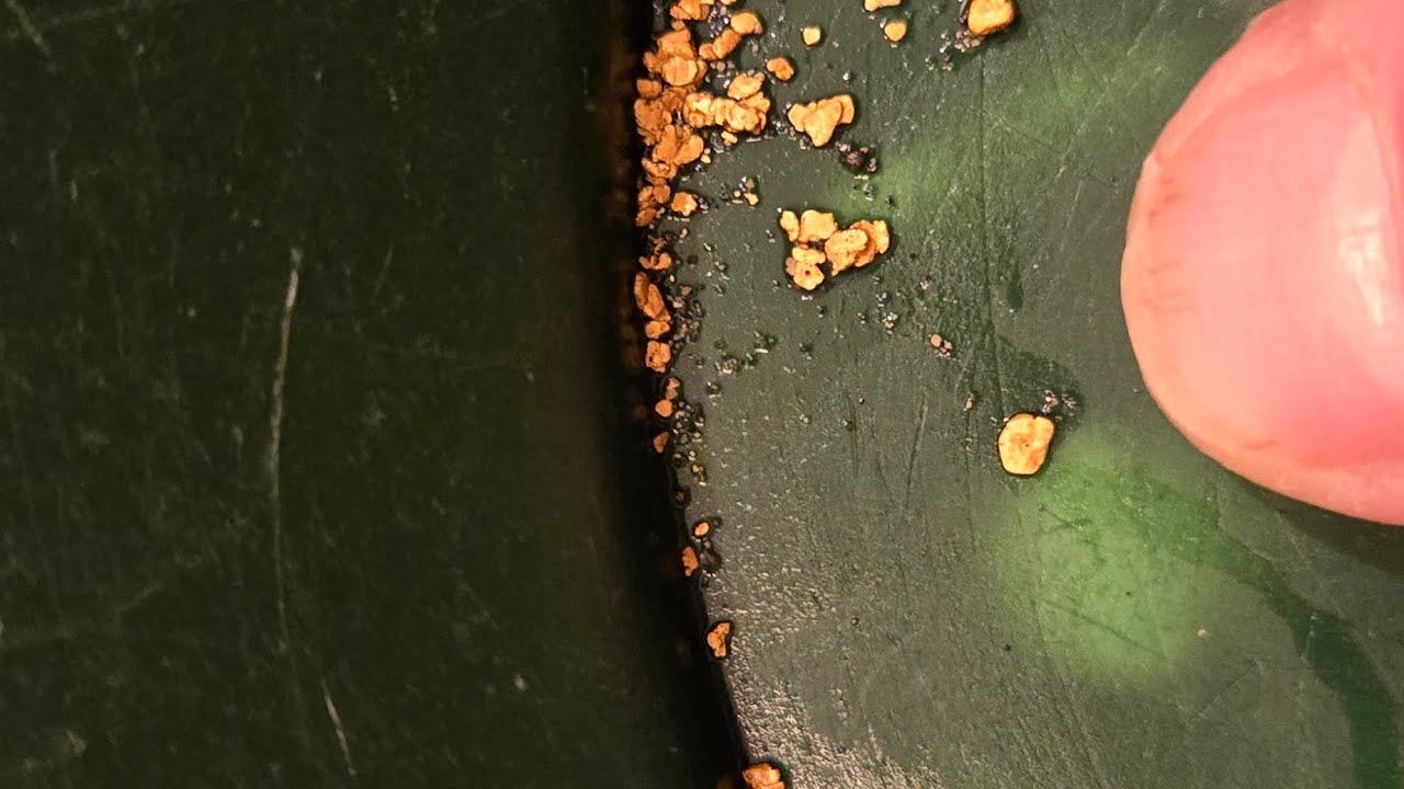 North Idaho Gold Prospecting Adventures, Oct 22, 2025