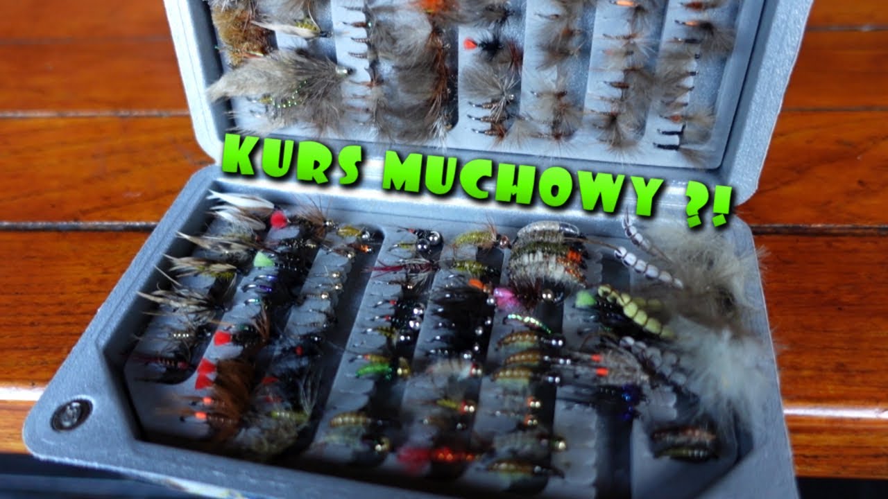 W poszukiwaniu BRZAN ! + szybki Kurs Muchowy ;) !