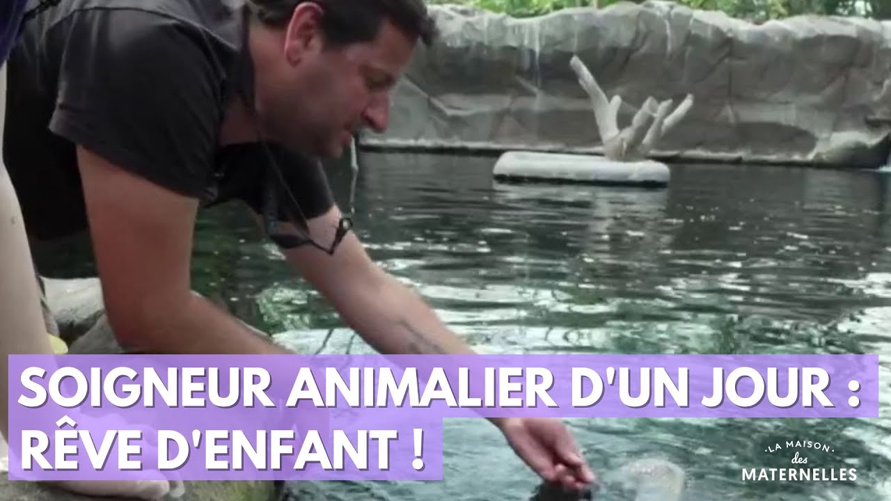 Soigneur animalier d'un jour : rêve d'enfant ! - La Maison des maternelles #LMDM