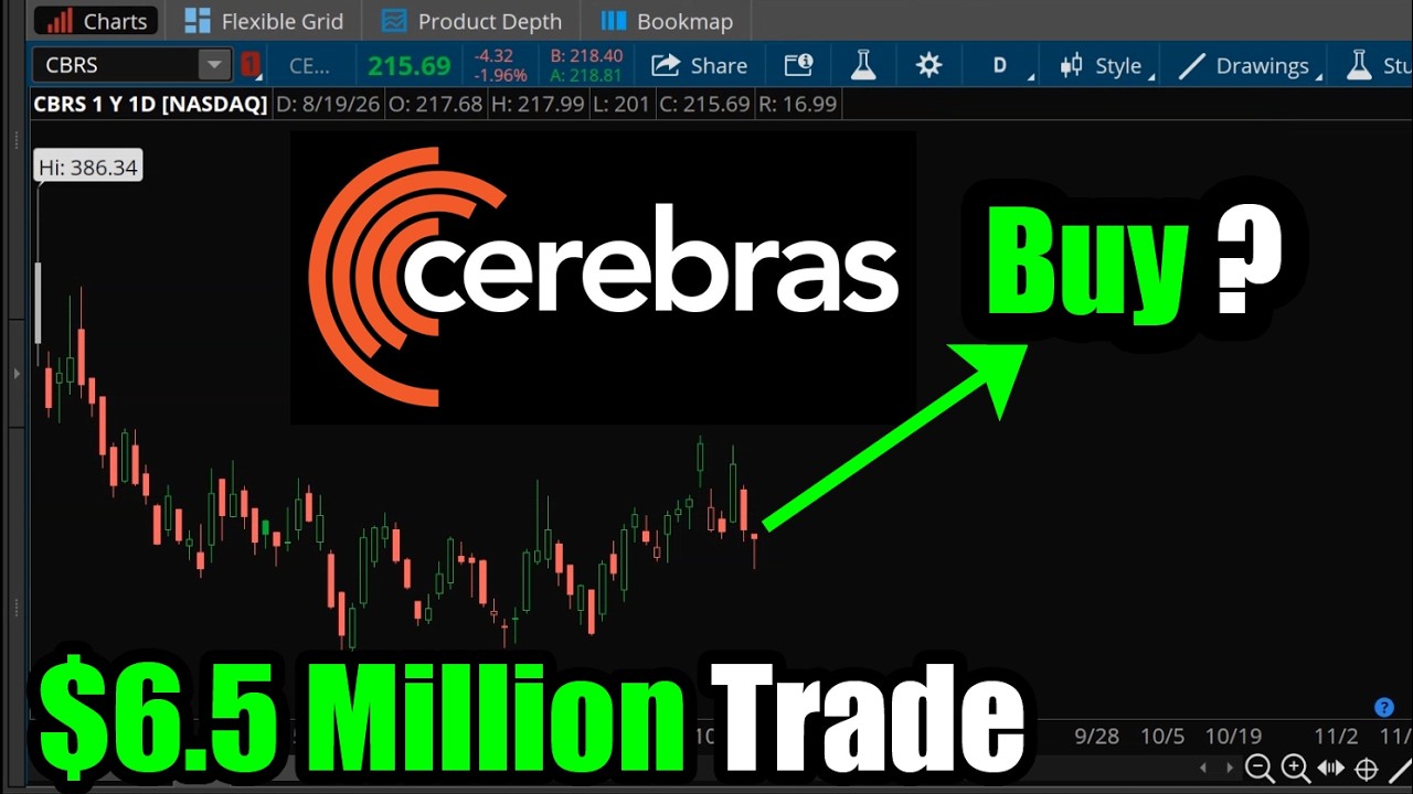 Акции Cerebras (CBRS): сделка на $6,5 млн, стоит ли покупать?