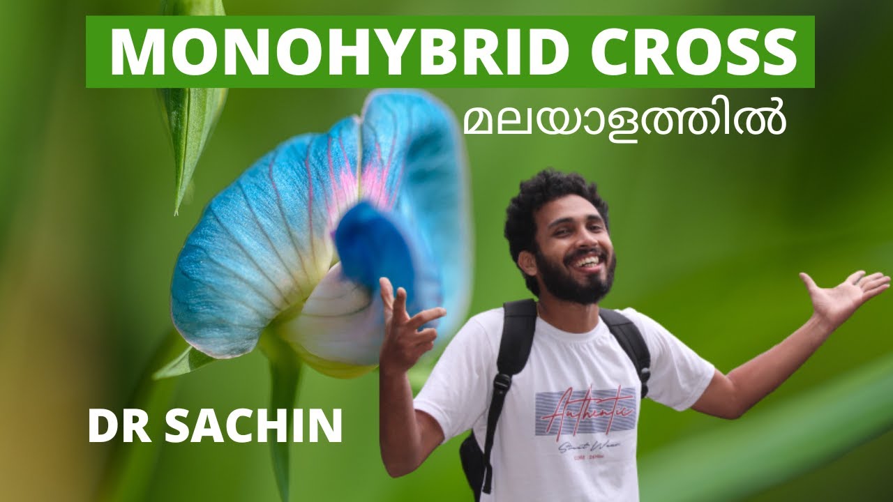 monohybrid cross | knowledge vlogger | malayalam | Inheritance of one  gene | class 12