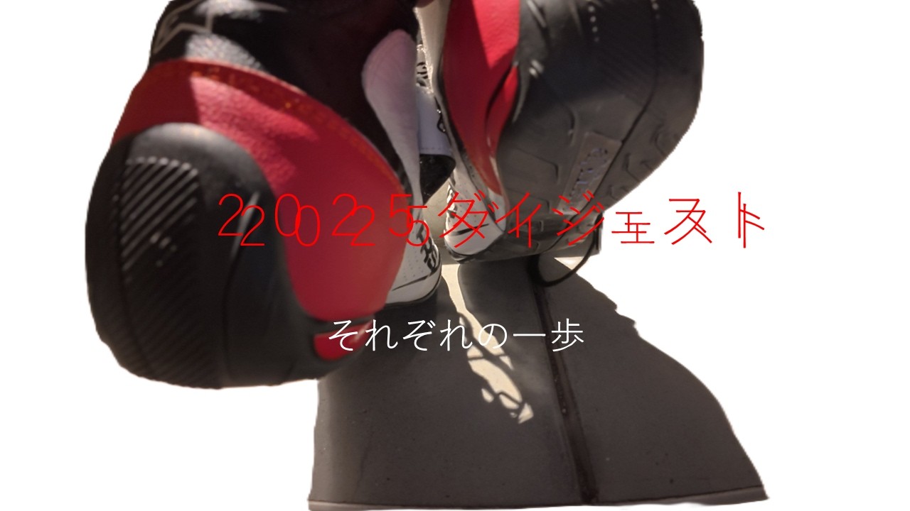 2025年ダイジェスト版