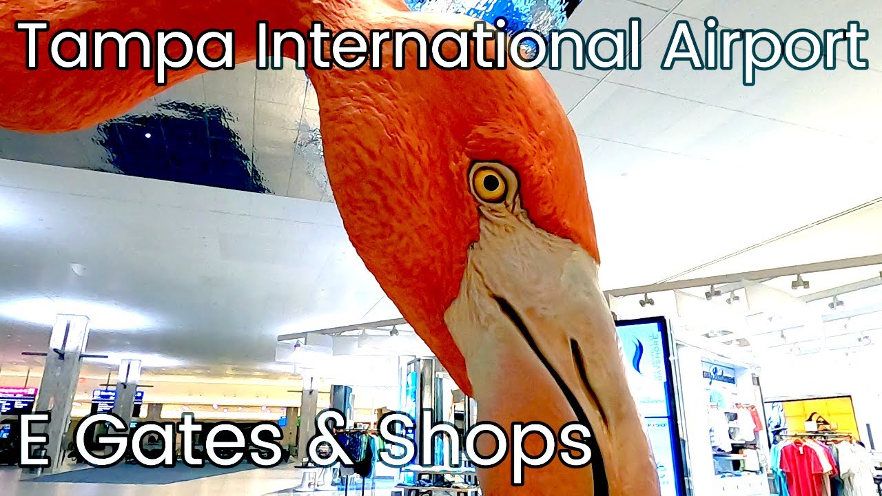 🛍️🛫🛬E Gates & Shops - Tampa International Airport, Tampa Bay, FL