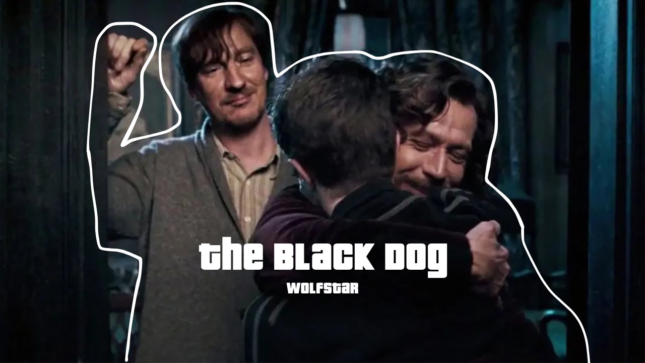Wolfstar: The Black Dog