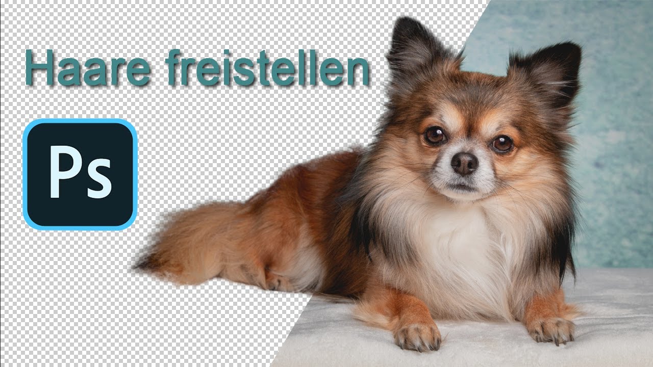 Photoshop Tutorial - Haare freistellen um Hintergrund zu wechseln.