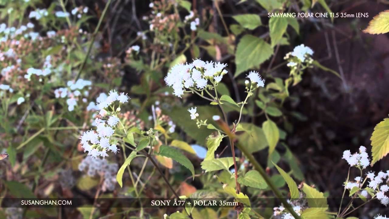 SAMYANG POLAR CINE T1.5 35mm