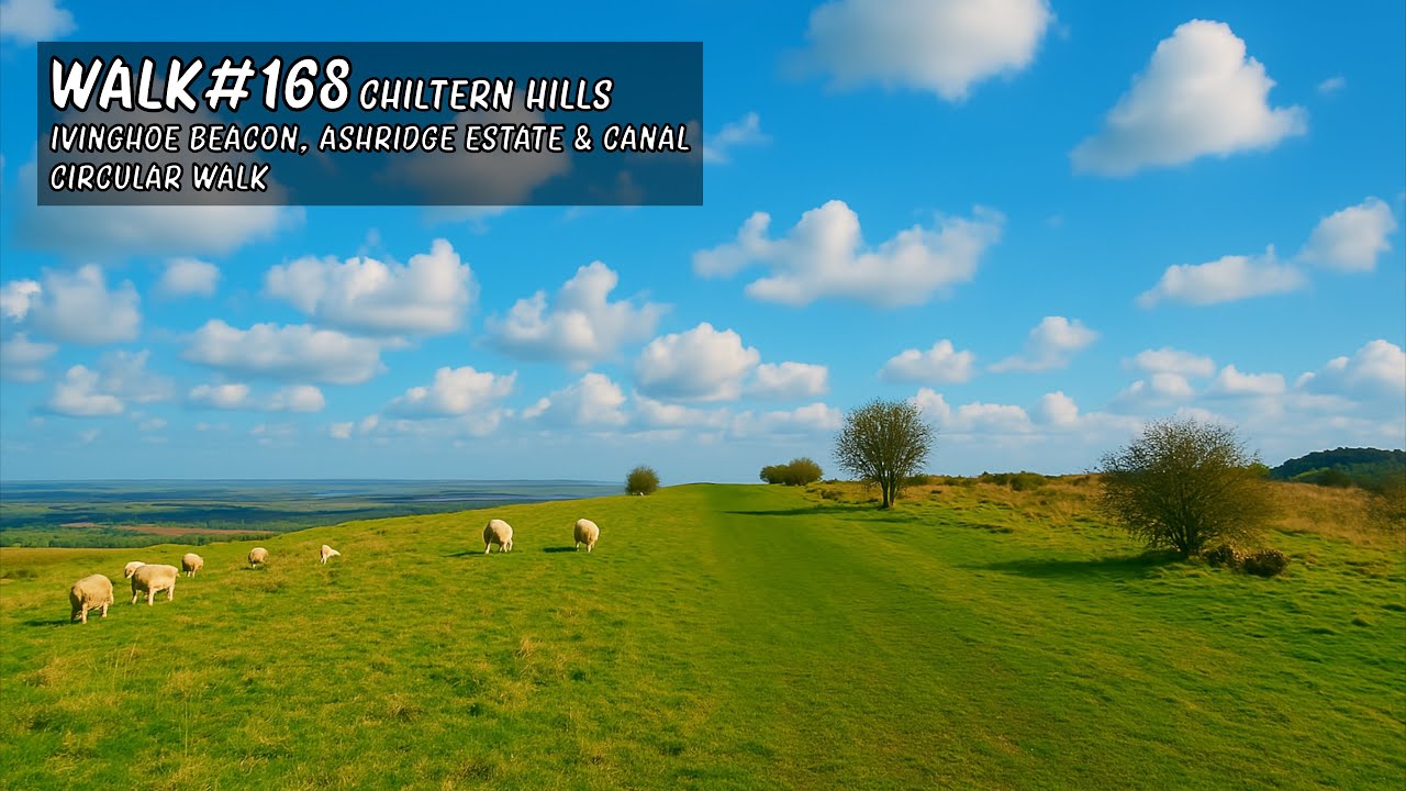 Walk 168 | Chiltern Hills | Ivinghoe Beacon, Ashridge Estate & Canal Circular Walk #walkingtour